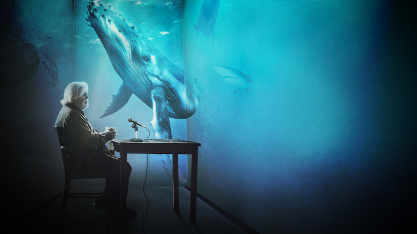 A still from 'Whale Wars Captain Watsons Story'. A still from 'Whale Wars Captain Watsons Story'.